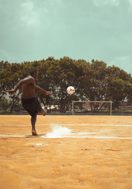 这一主题展 这一主题展