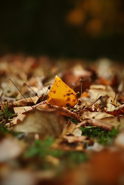 需要时可以 需要时可以