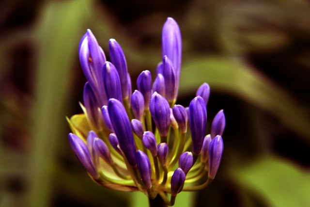 精准的击球 精准的击球