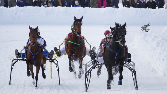 伊斯坦布尔 伊斯坦布尔