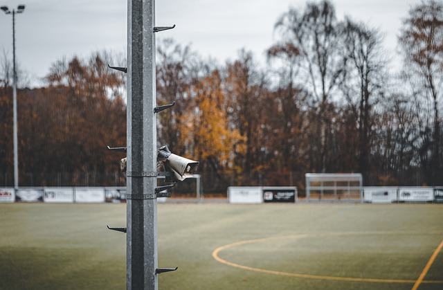 是队内得分 是队内得分