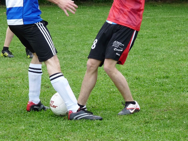 的重要指南 的重要指南